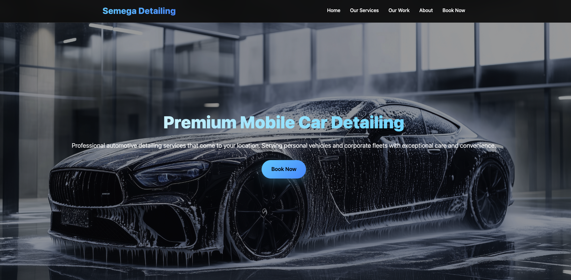Semega Detailing - Mobile Car Detailing Service
