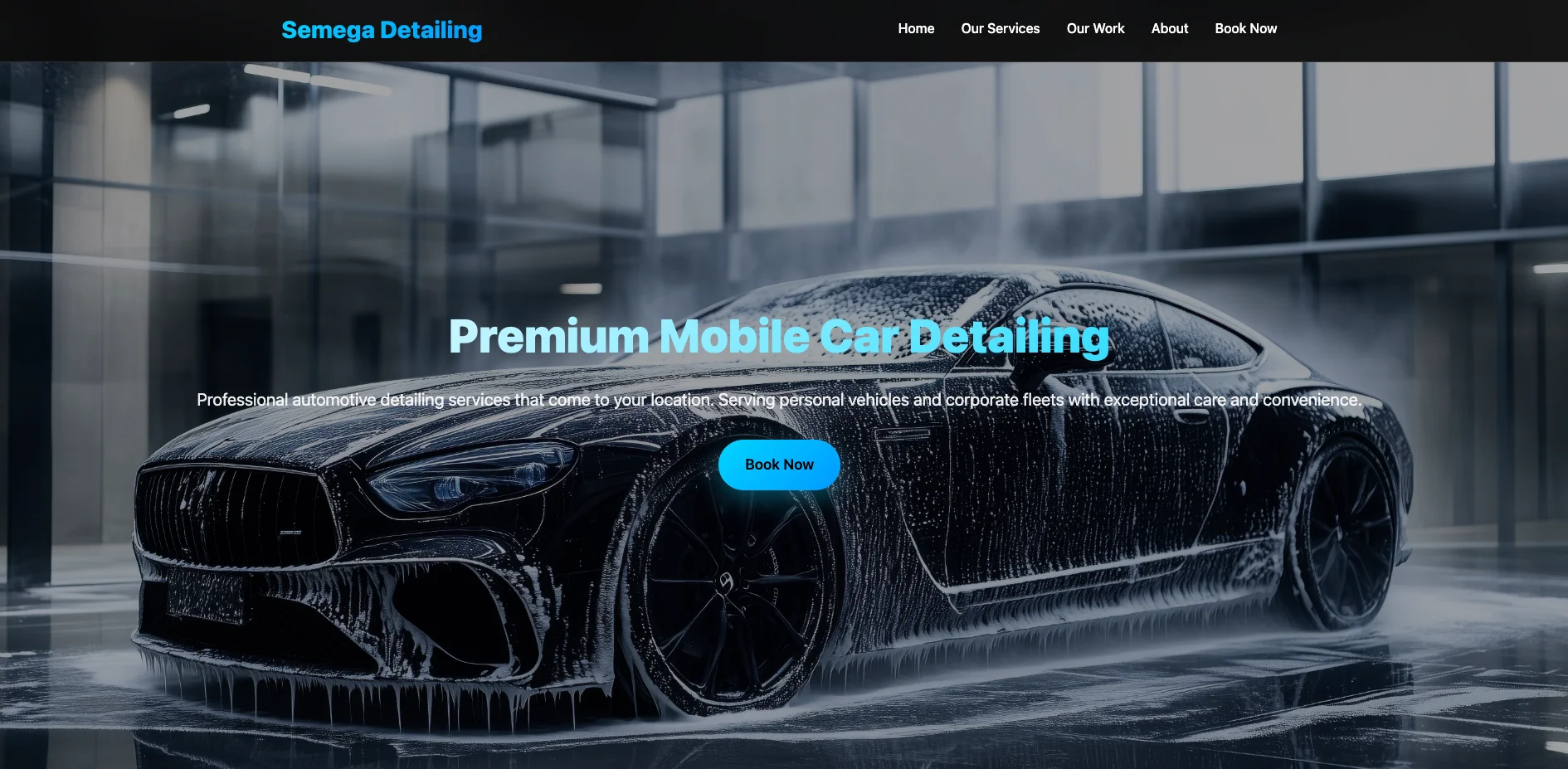 Semega Detailing